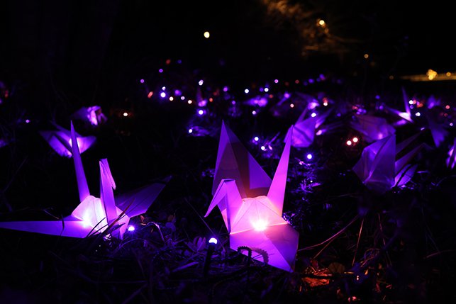 🏯 다이네이지 사찰(다이네이지) 이미지 8